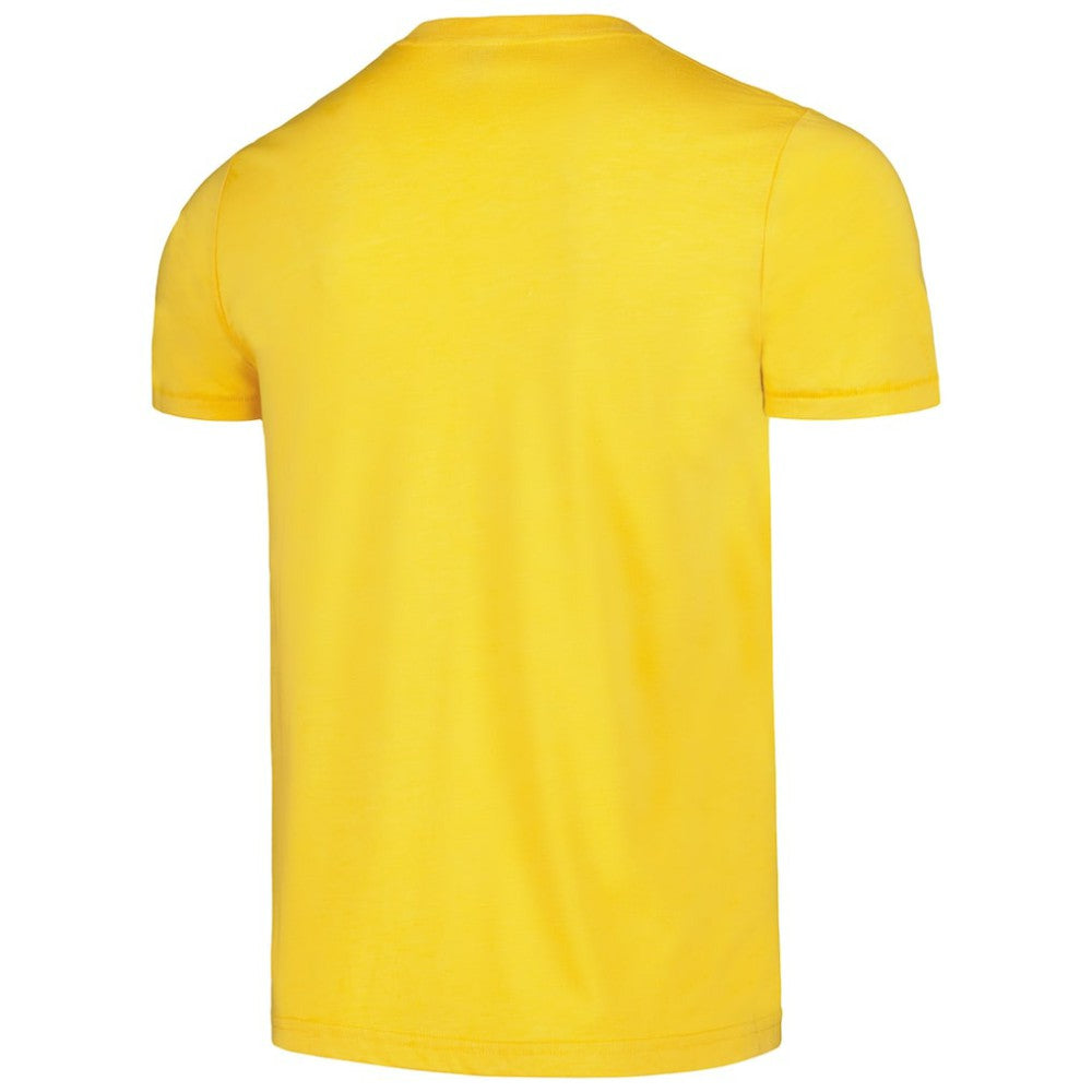 Pittsburgh Pirates Homage Doodle Collection We Are Fam-A-Lee Tri-Blend T-Shirt Near Me
