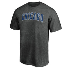 Chicago Cubs Official Wordmark T-Shirt Online