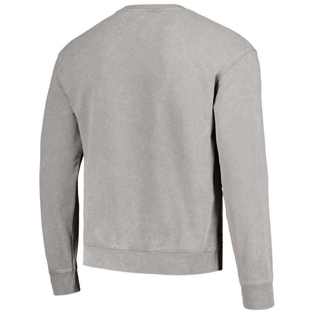 Carolina Panthers The Wild Collective Unisex Distressed Pullover Sweatshirt - Gray - NFL