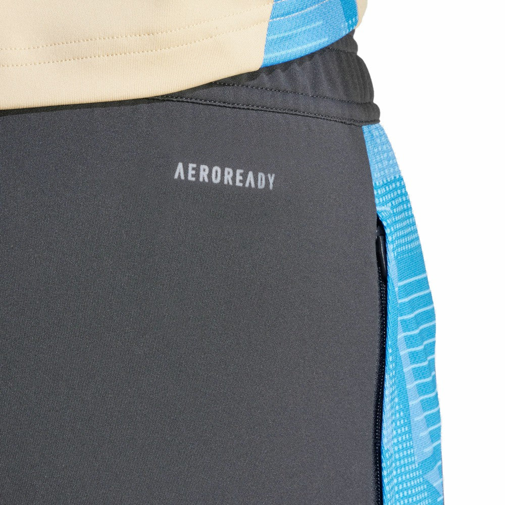 Adidas - Argentina National Team 2024 AEROREADY Training Pants - Gray