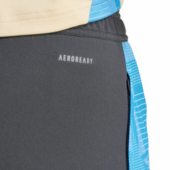 Adidas - Argentina National Team 2024 AEROREADY Training Pants - Gray