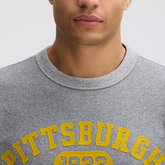 Pittsburgh Steelers IconicFleece Short Sleeve Sweatshirt - Athletic Heather Gray - Fanatics
