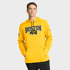 Boston Bruins Fanatics 2026 NHL Stadium Series Authentic Pro Pullover Hoodie - Gold | Fanatics near me