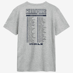 Seattle Seahawks Super Bowl LX Champions Ice Classic Roster T-Shirt - Heather Gray - Nike