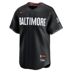 Adley Rutschman Baltimore Orioles Nike City Connect Limited Player Jersey Near Me