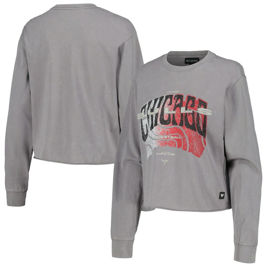 Chicago Bulls The Wild Collective Women's Band Cropped Long Sleeve T-Shirt Gray