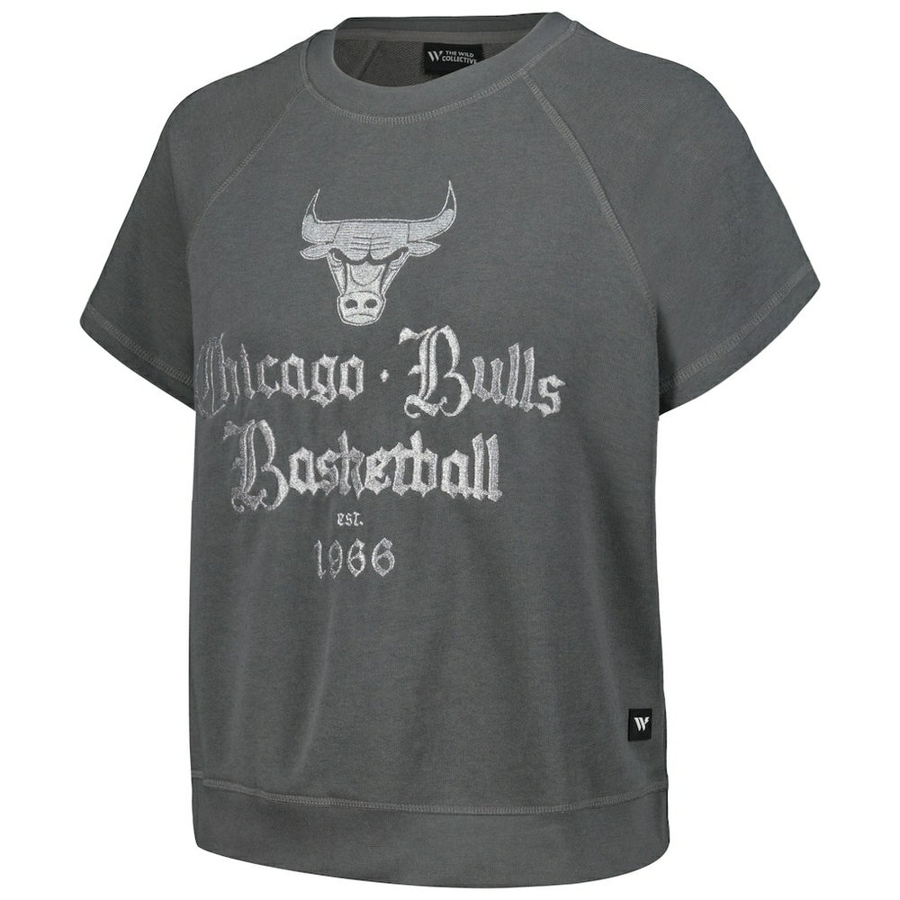 Chicago Bulls The Wild Collective Women's Embroidered Fleece Raglan Short Sleeve Pullover Sweatshirt Gray