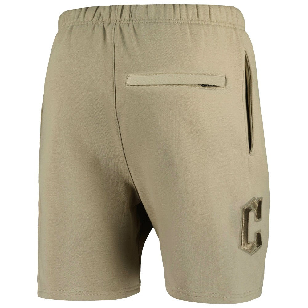 Cleveland Guardians Pro Standard Neutral Fleece Shorts Sale