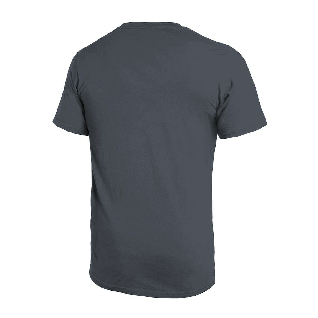 Atlanta Falcons Majestic Threads Sundays Skyline T-Shirt - Gray - NFL