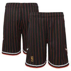 Mitchell & Ness Chicago Bulls Youth Hardwood Classics Swingman Shorts Black