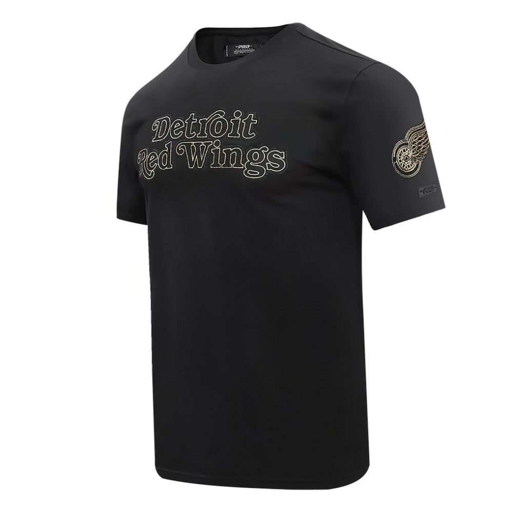 Detroit Red Wings Pro Standard Wordmark T-Shirt - Black | NHL near me