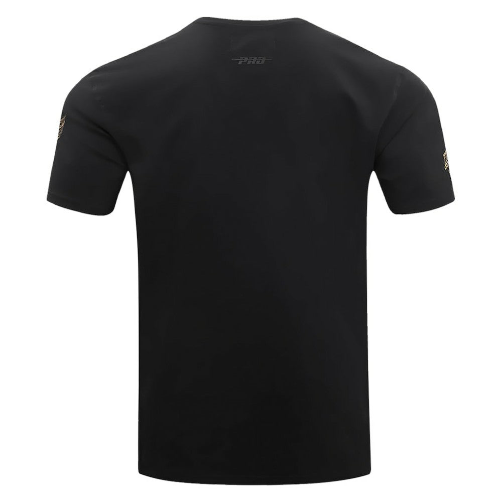 Detroit Red Wings Pro Standard Wordmark T-Shirt - Black | NHL near me