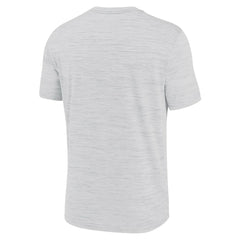 Miami Dolphins Blitz Velocity Modern Dri-FIT T-Shirt - Ash - Nike