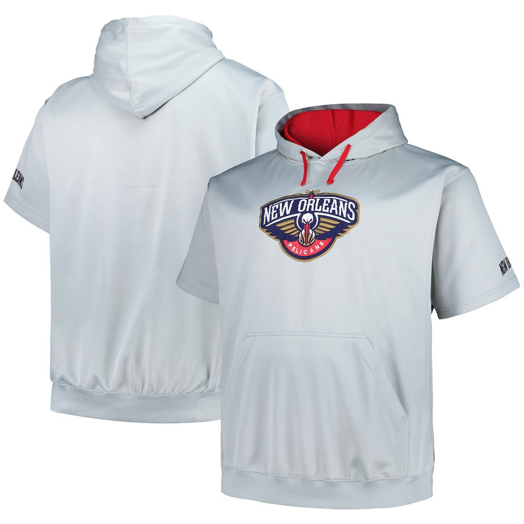 Fanatics New Orleans Pelicans Big & Tall Logo Pullover Hoodie Silver