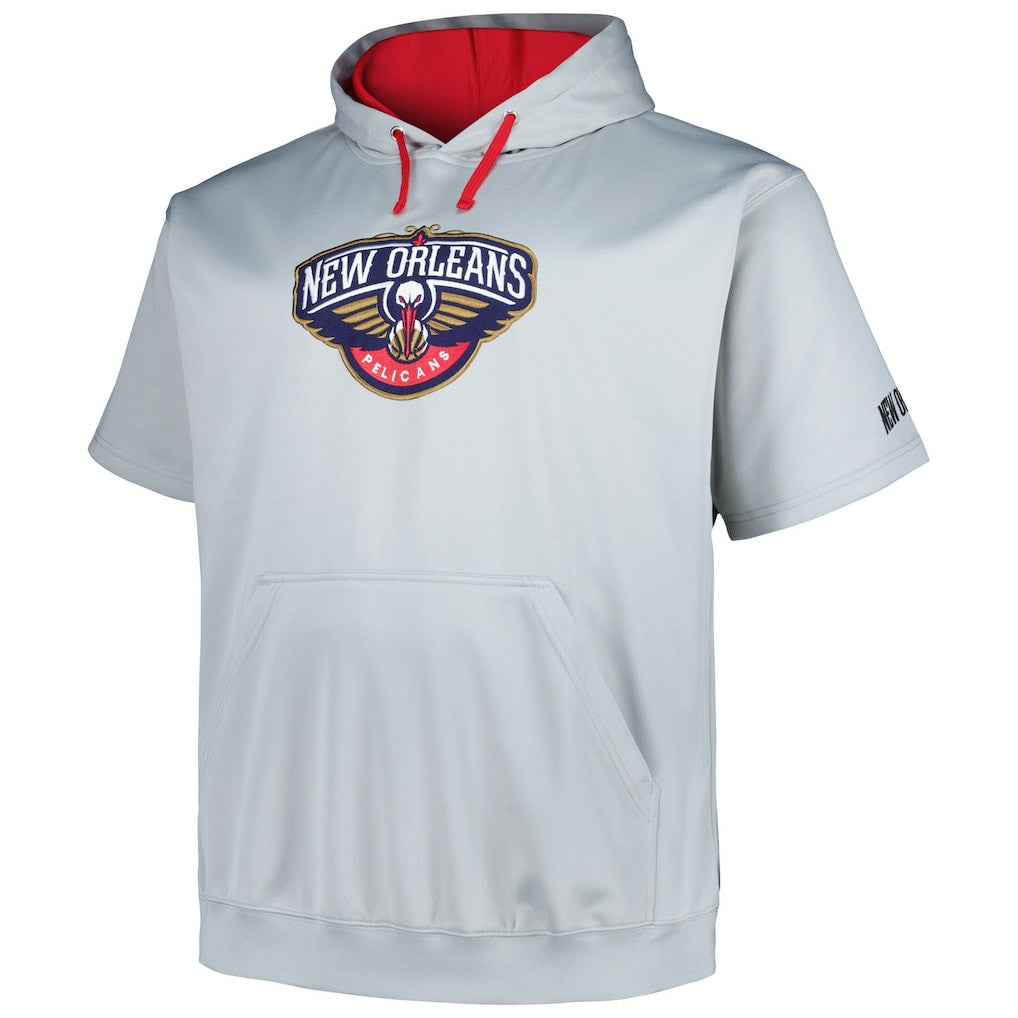 Fanatics New Orleans Pelicans Big & Tall Logo Pullover Hoodie Silver