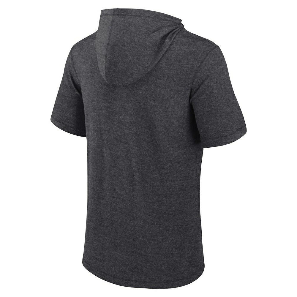 Carolina Panthers Push Short Sleeve Pullover Hoodie - Heather Charcoal - Fanatics