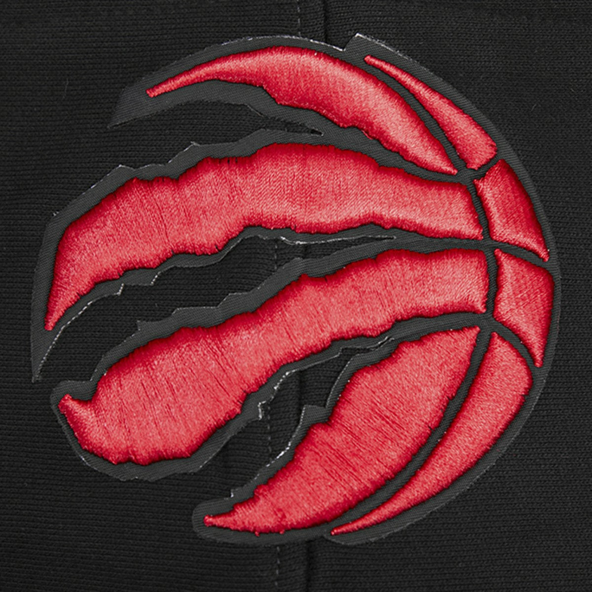 Toronto Raptors Pro Standard Script Tail Pullover Hoodie Black