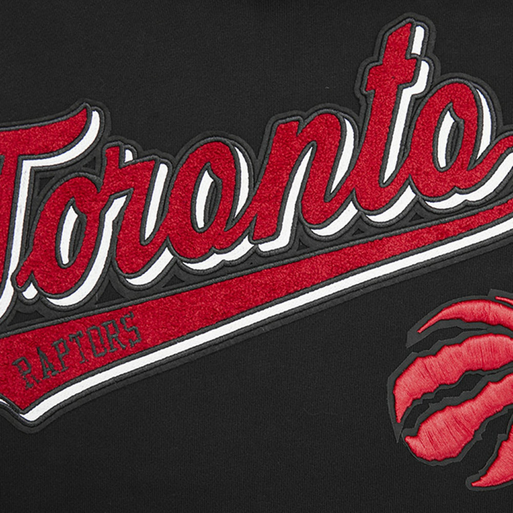 Toronto Raptors Pro Standard Script Tail Pullover Hoodie Black