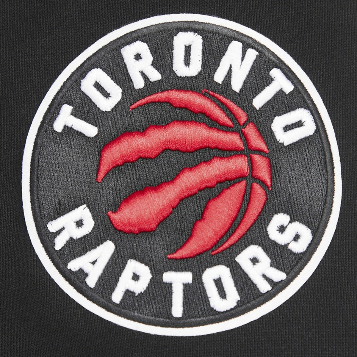 Toronto Raptors Pro Standard Script Tail Pullover Hoodie Black