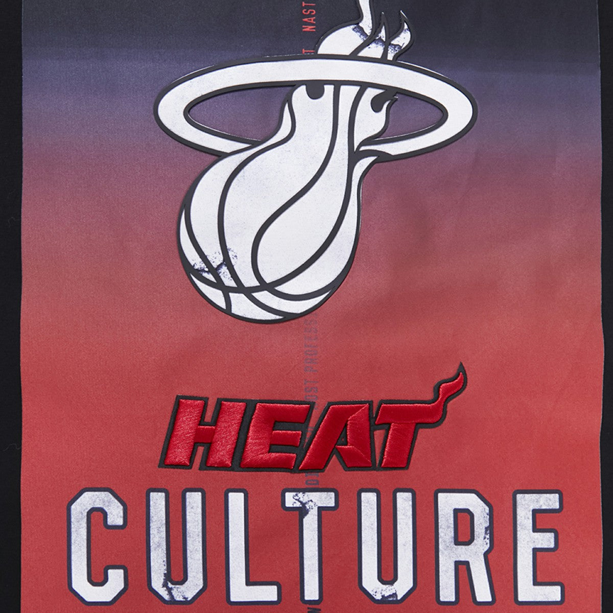 Miami Heat Pro Standard 2023 City Edition T-Shirt Black
