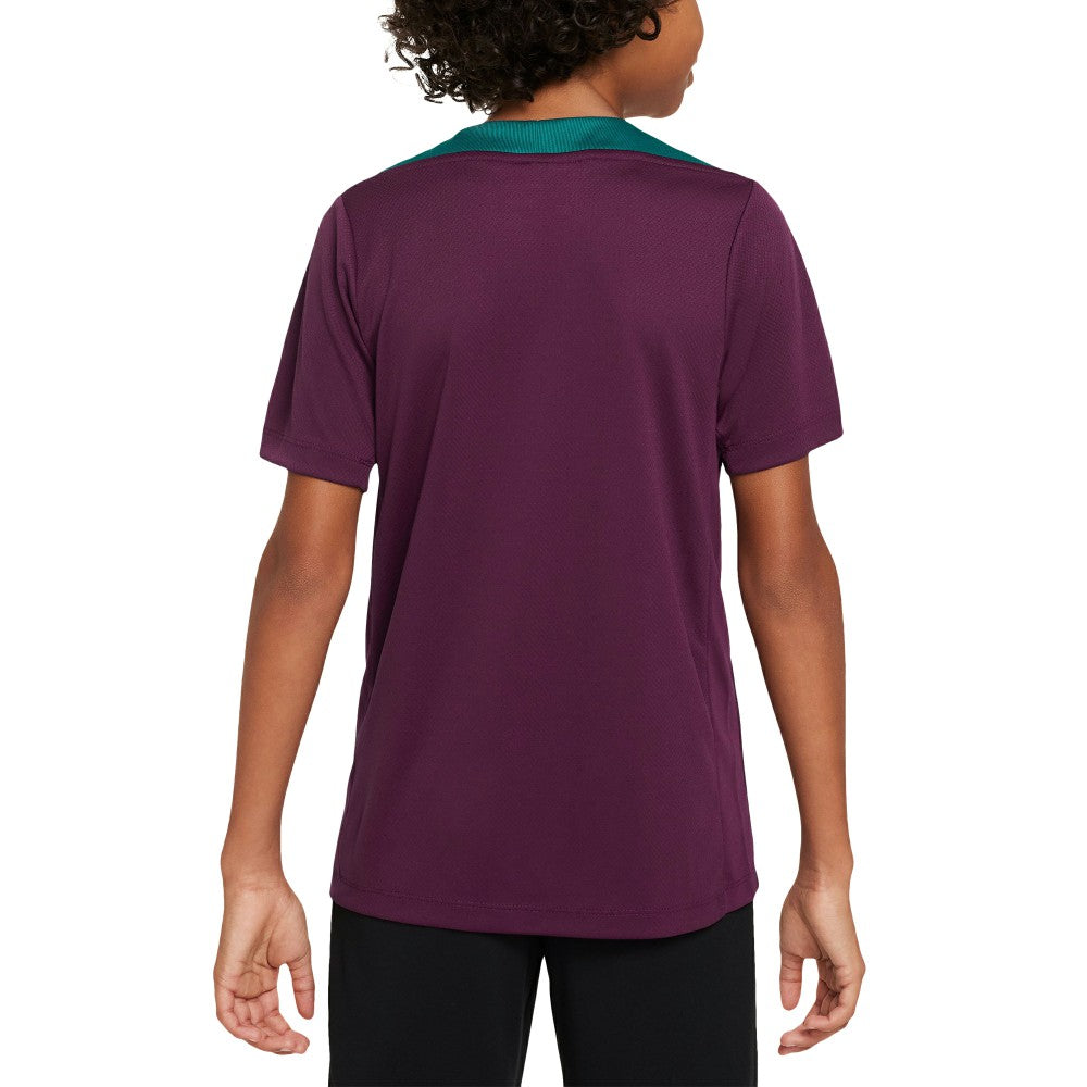 Nike - Paris Saint-Germain Youth 2024/25 Strike Training Performance Top - Burgundy