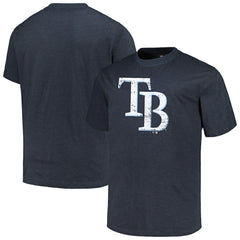 Tampa Bay Rays Profile Big & Tall Weathered Logo T-Shirt Outlet