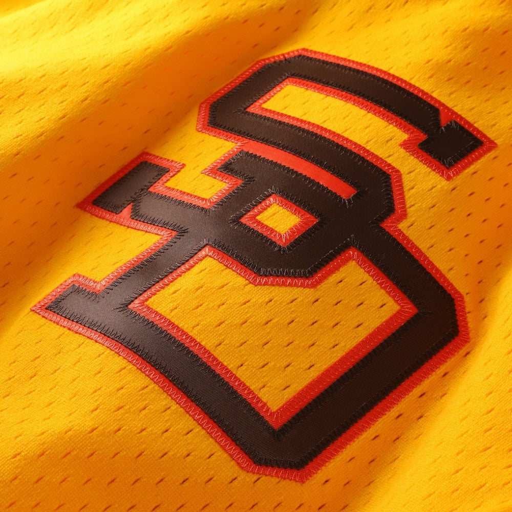 Tony Gwynn San Diego Padres Mitchell & Ness Authentic Batting Practice Jersey Near Me