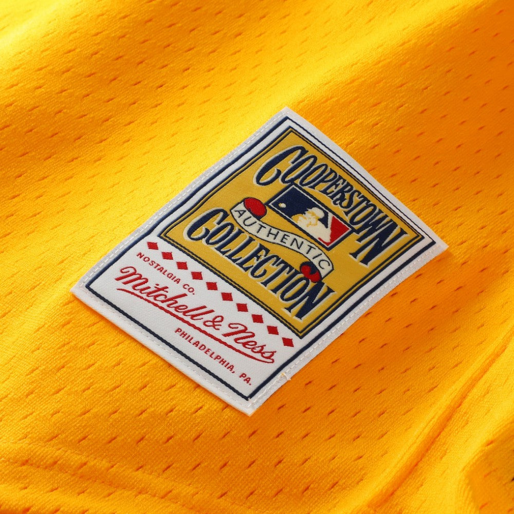 Tony Gwynn San Diego Padres Mitchell & Ness Authentic Batting Practice Jersey Near Me