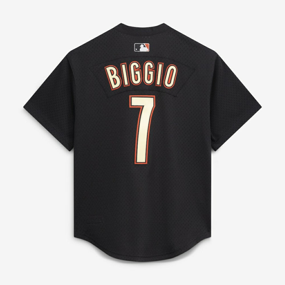 Craig Biggio Houston Astros Mitchell & Ness Authentic Batting Practice Jersey Sale