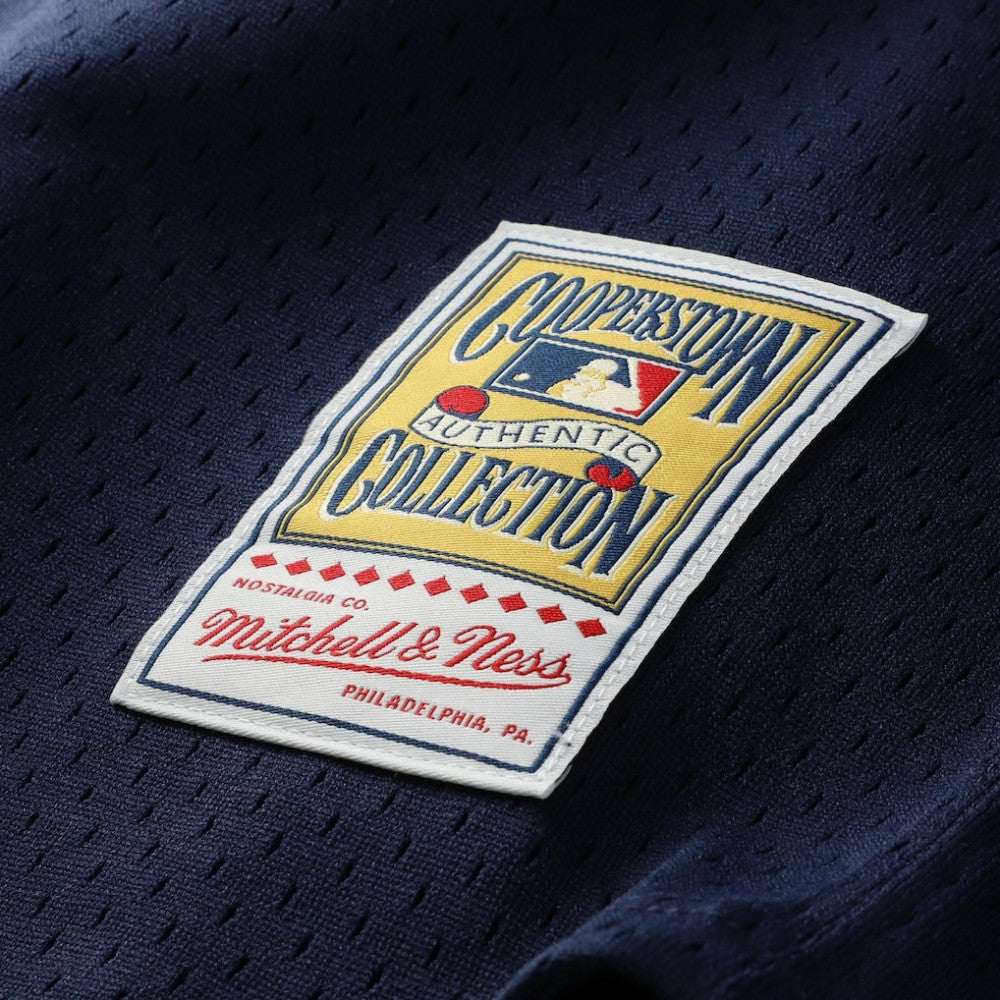 Carlton Fisk Chicago White Sox Mitchell & Ness Authentic Batting Practice Jersey Outlet