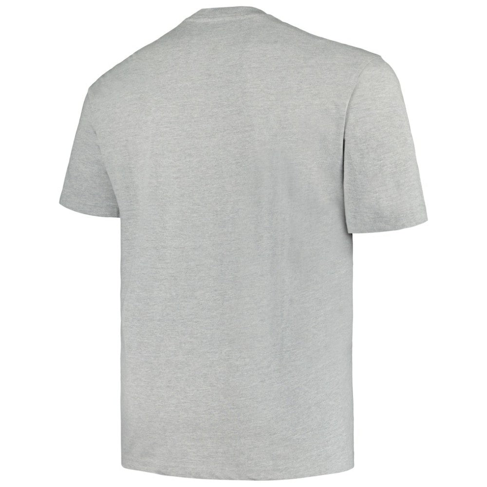 Minnesota Wild Profile Big & Tall Arch Over Logo T-Shirt - Heather Gray | NHL online