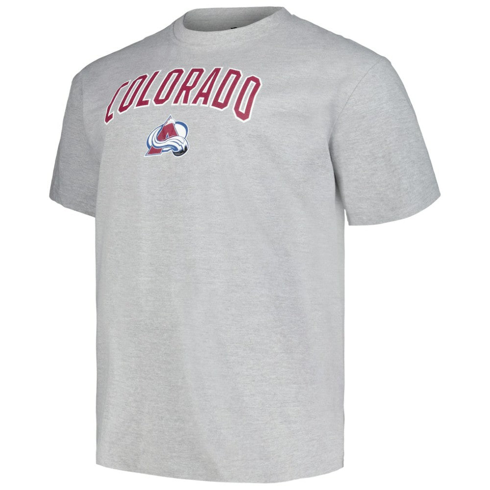 Colorado Avalanche Profile Big & Tall Arch Over Logo T-Shirt - Heather Gray | NHL online
