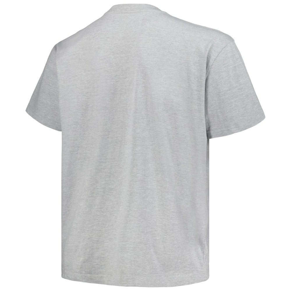 Colorado Avalanche Profile Big & Tall Arch Over Logo T-Shirt - Heather Gray | NHL online