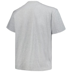 Colorado Avalanche Profile Big & Tall Arch Over Logo T-Shirt - Heather Gray | NHL online