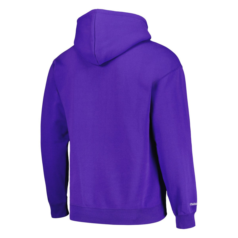 Mitchell & Ness Phoenix Suns Hardwood Classics Tonal Pullover Hoodie Purple