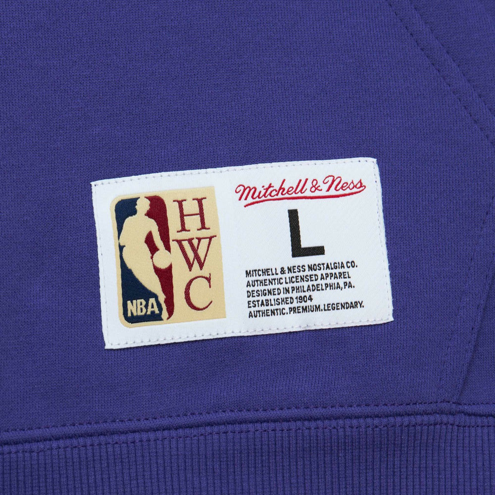Mitchell & Ness Phoenix Suns Hardwood Classics Tonal Pullover Hoodie Purple
