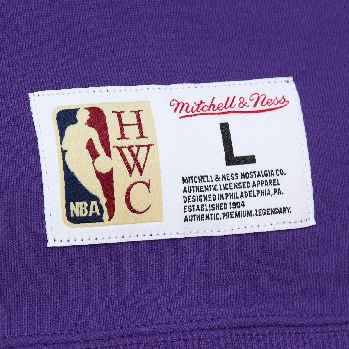 Mitchell & Ness Sacramento Kings Hardwood Classics Tonal Pullover Hoodie Purple