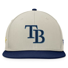 Tampa Bay Rays Fanatics Team Two-Tone Snapback Hat Near Me