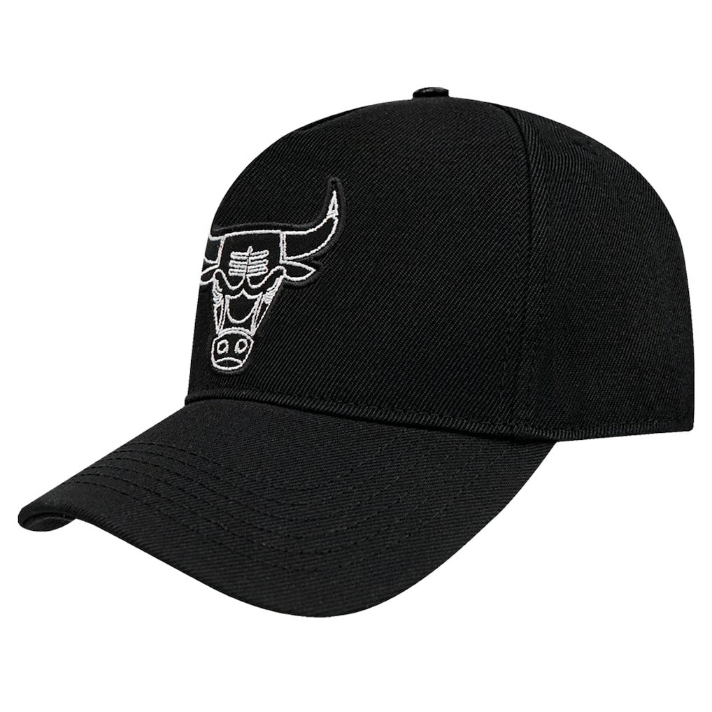 Chicago Bulls Pro Standard Paint the City Pinch Front Snapback Hat Black