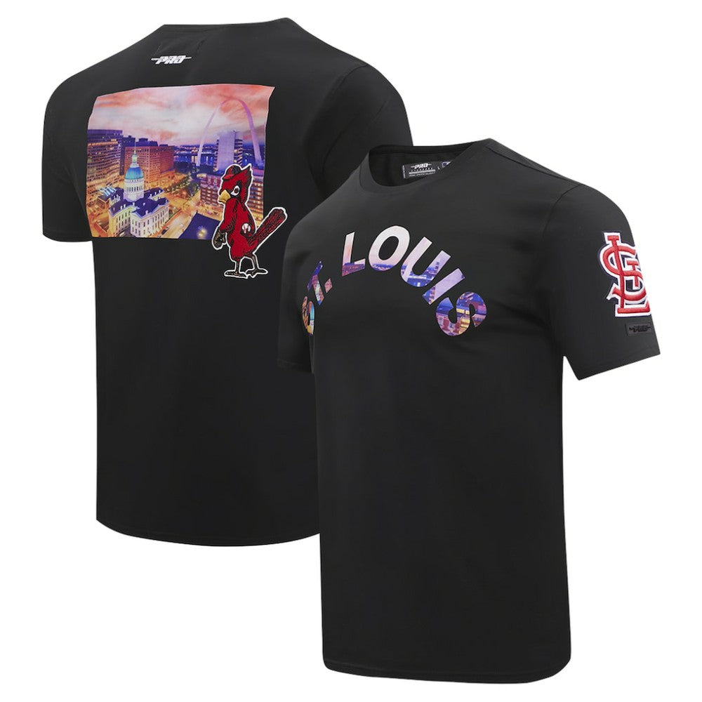 St. Louis Cardinals Pro Standard Cityscape T-Shirt Sale