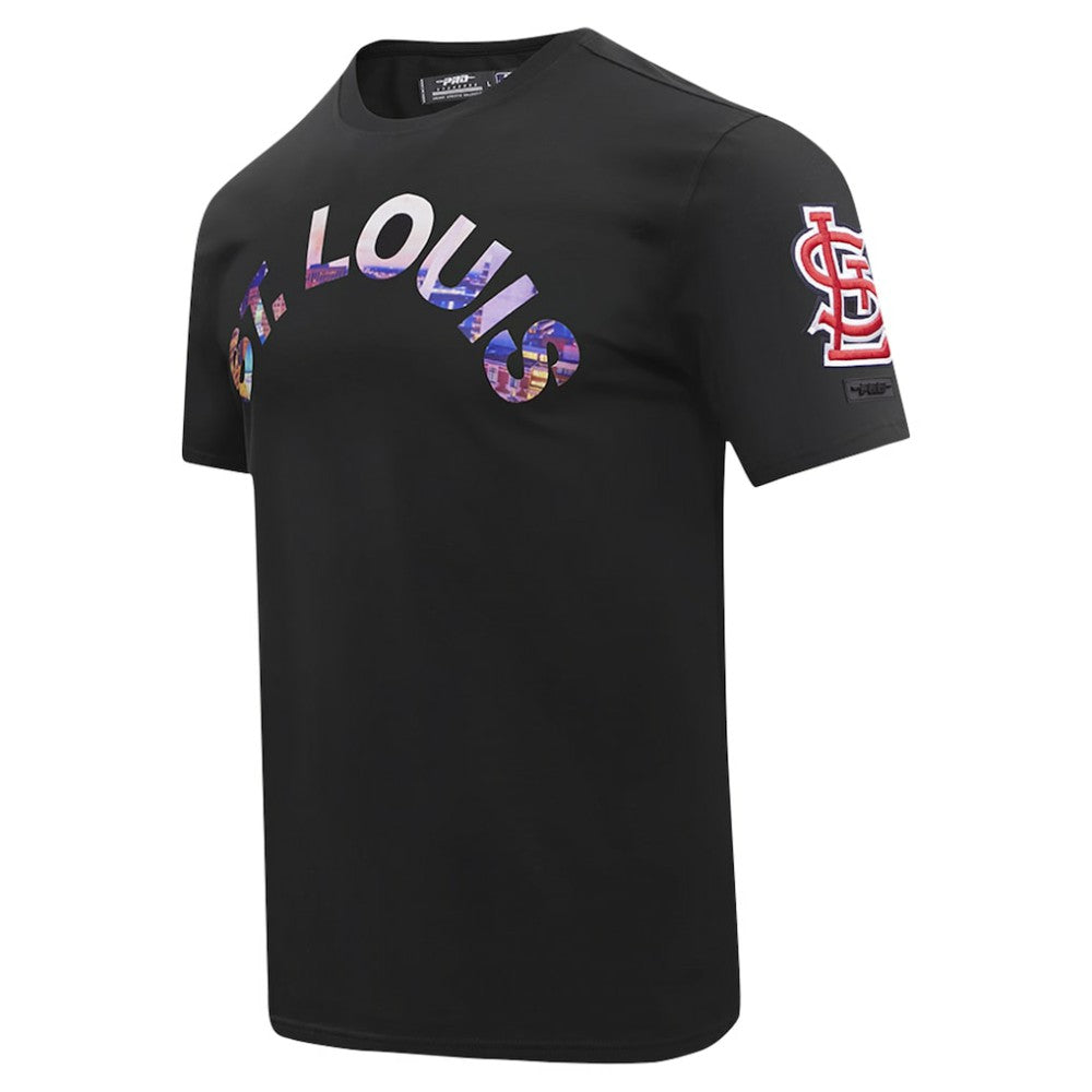 St. Louis Cardinals Pro Standard Cityscape T-Shirt Sale
