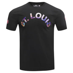 St. Louis Cardinals Pro Standard Cityscape T-Shirt Sale