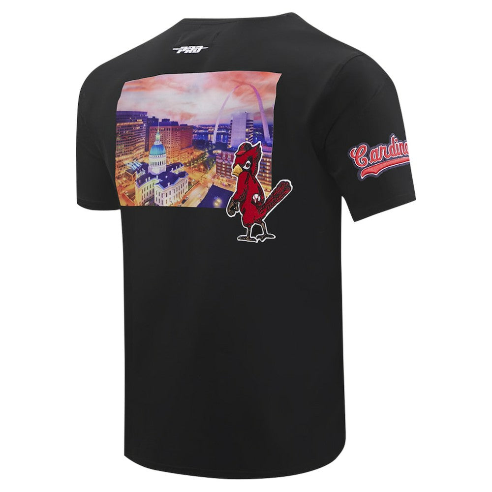 St. Louis Cardinals Pro Standard Cityscape T-Shirt Sale