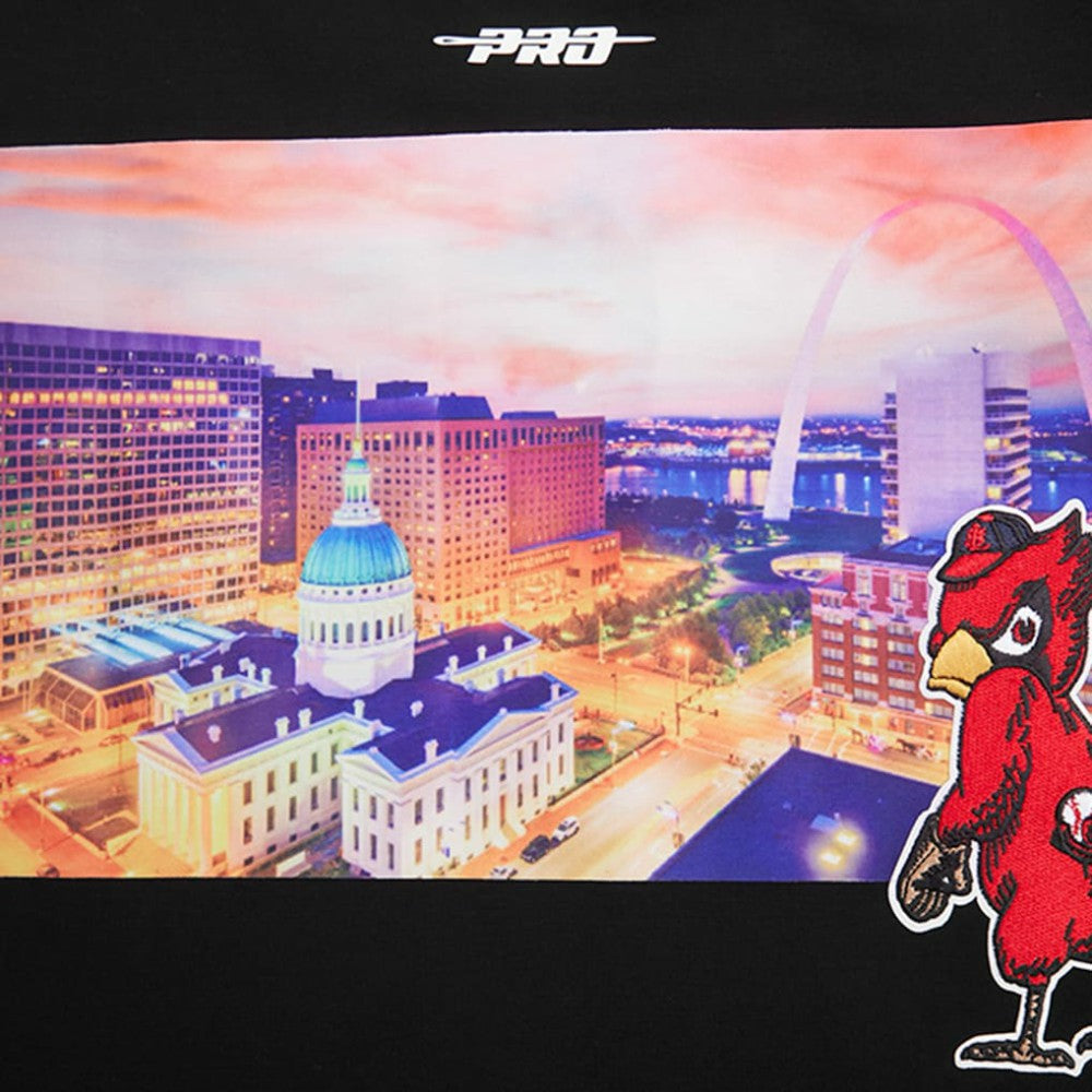 St. Louis Cardinals Pro Standard Cityscape T-Shirt Sale