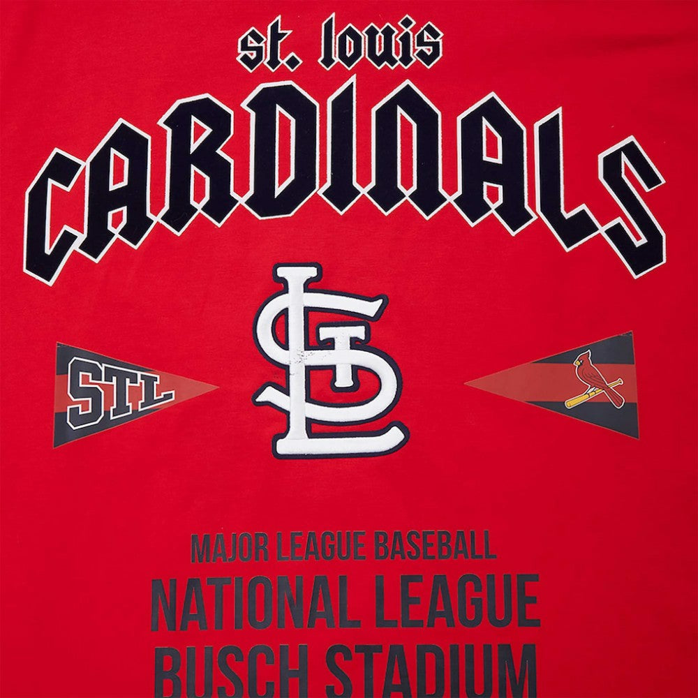 St. Louis Cardinals Pro Standard Oversized City Tour T-Shirt Sale