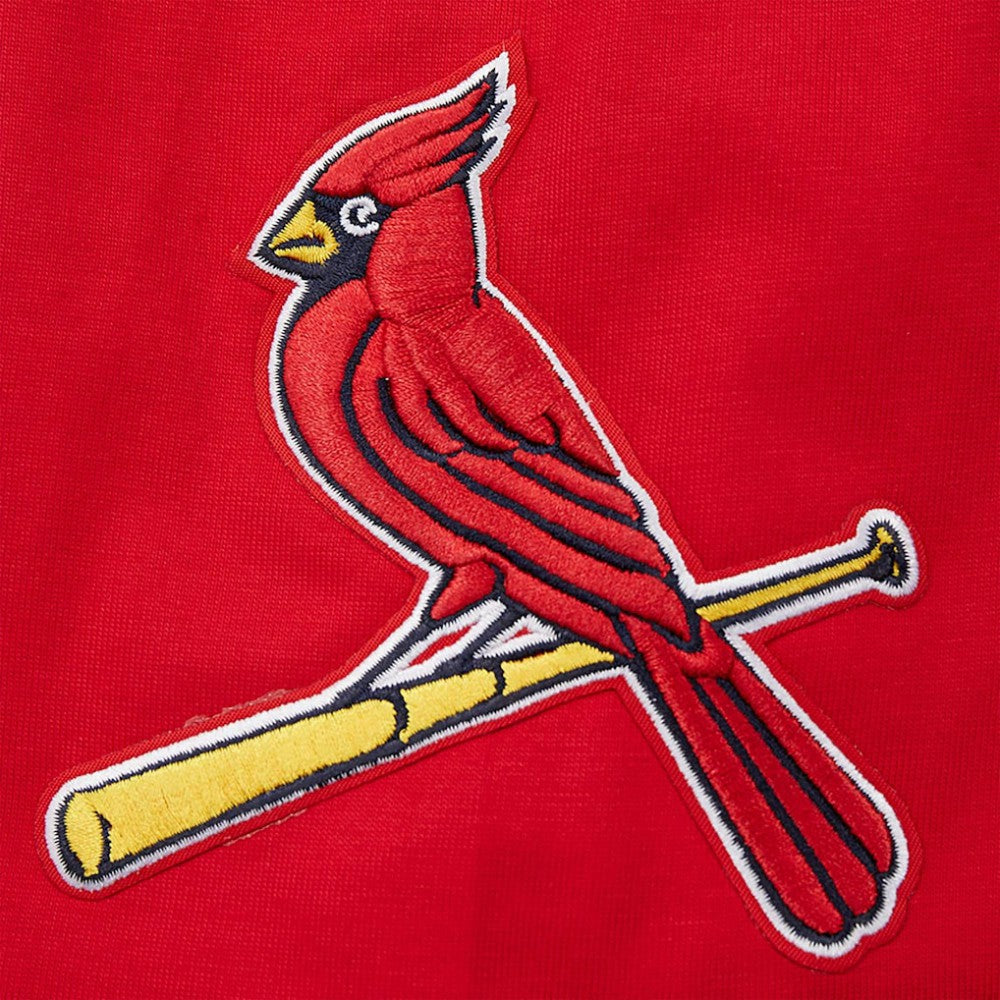 St. Louis Cardinals Pro Standard Oversized City Tour T-Shirt Sale