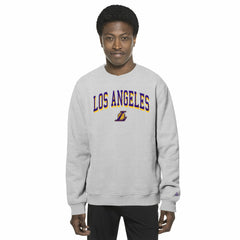 New Era Los Angeles Lakers Chenille Cross Over Pullover Sweatshirt Gray