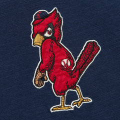 St. Louis Cardinals Mitchell & Ness Cooperstown Collection Legendary Raglan Slub Henley Three-Quarter Sleeve T-Shirt Sale