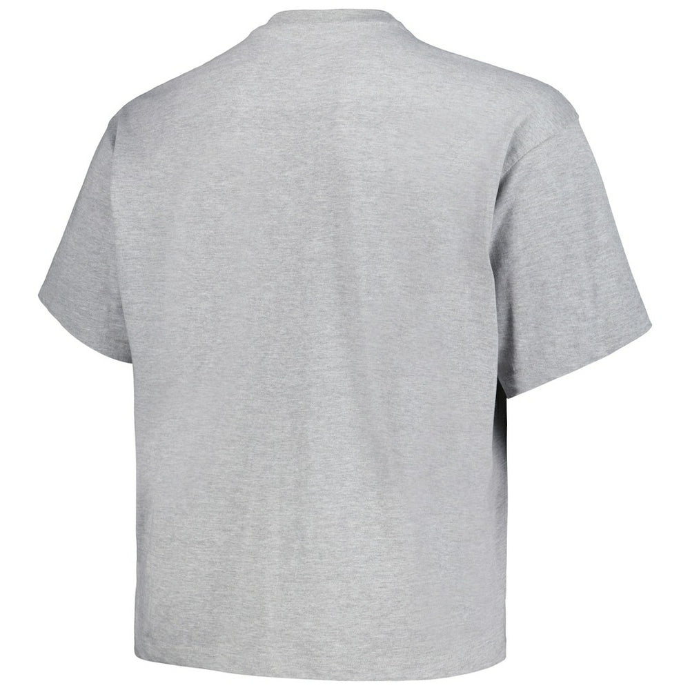 Mitchell & Ness Denver Nuggets Big & Tall Hardwood Classics Vintage Logo T-Shirt Heather Gray