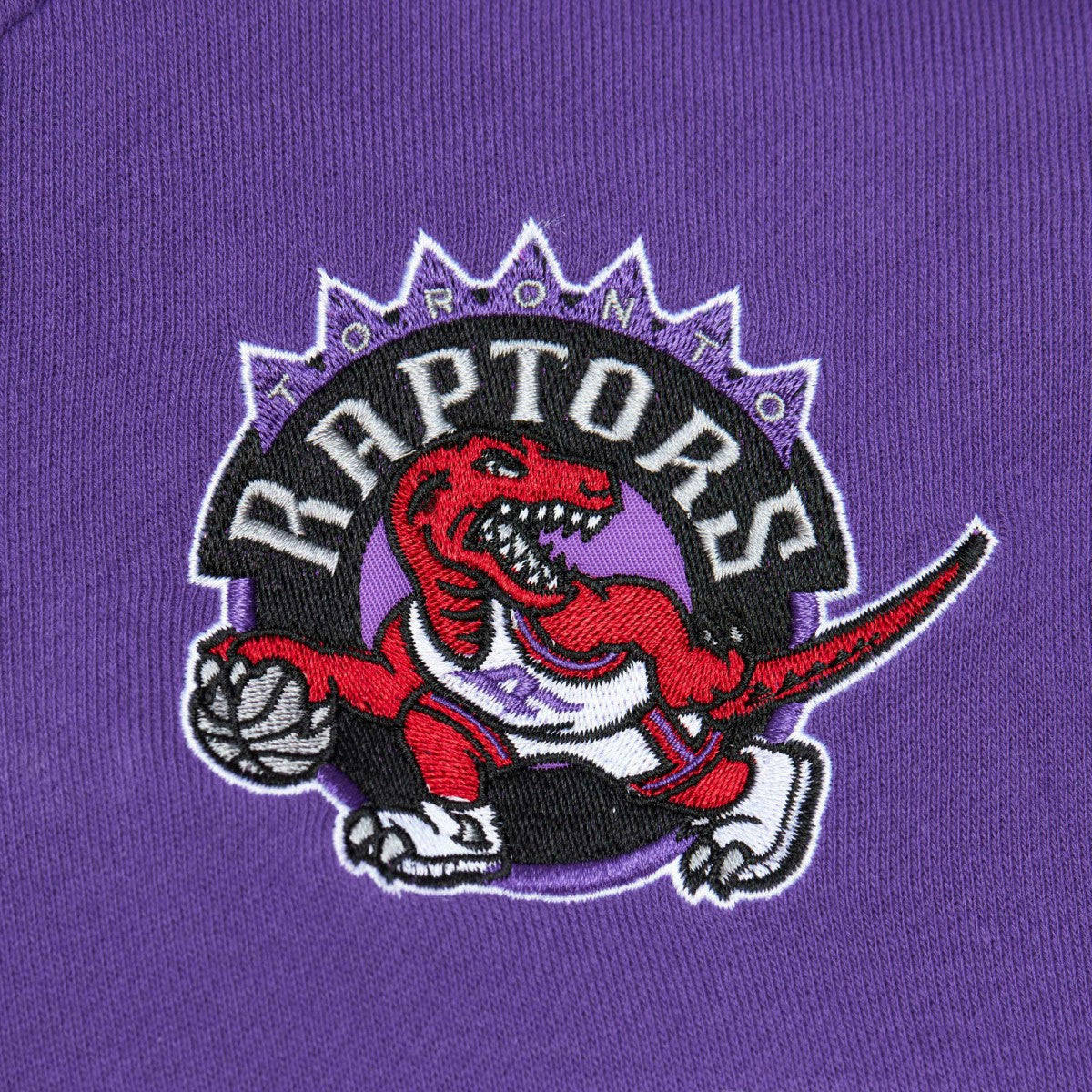 Mitchell & Ness Toronto Raptors Head Coach Pullover Hoodie Red/Purple